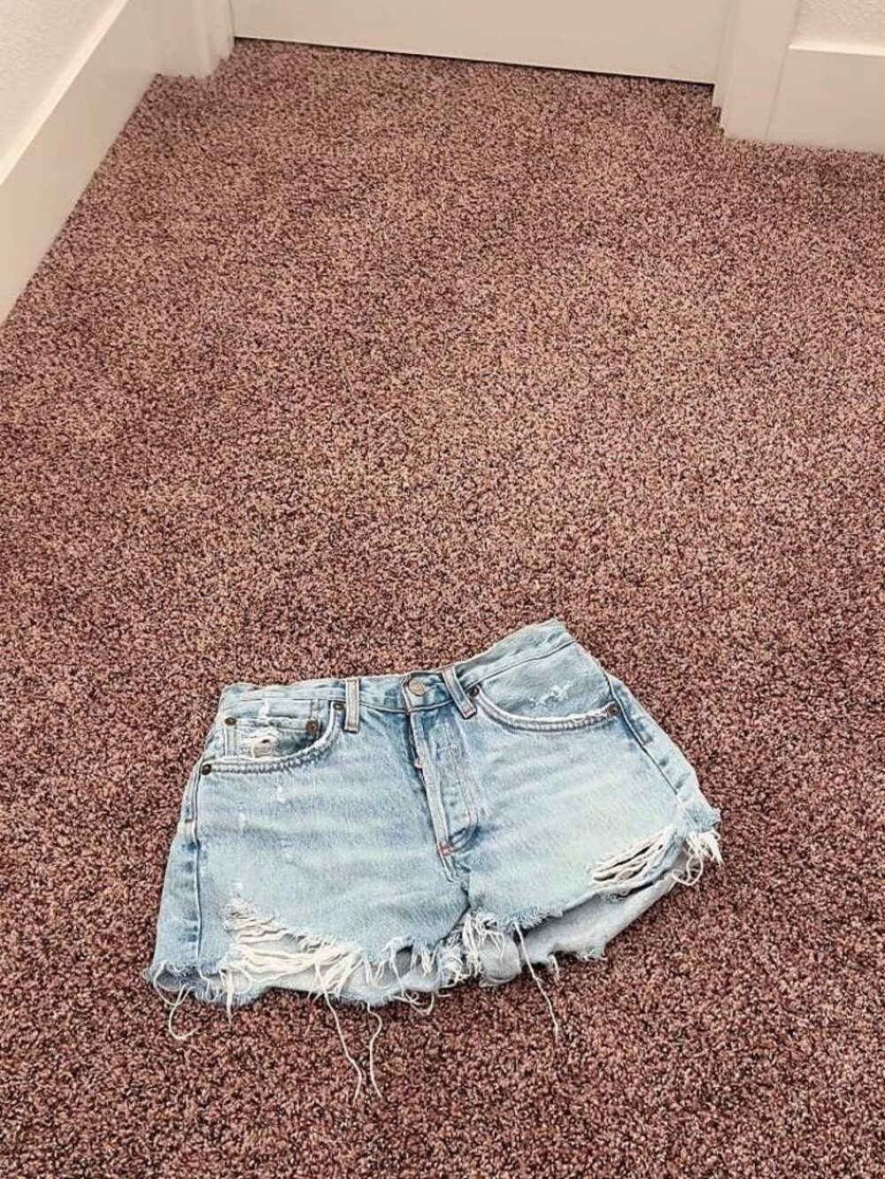 AGOLDE Los Angeles Premium Women's Denim Shorts Distressed Size 24